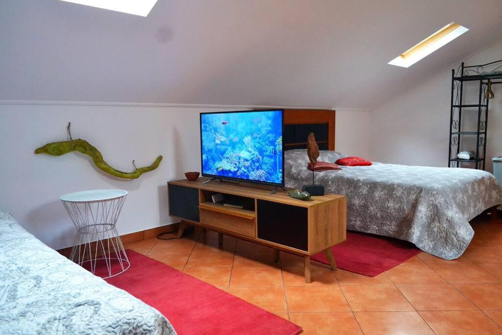 Lazy Lizard Studio Apartment เซชาล ภายนอก รูปภาพ